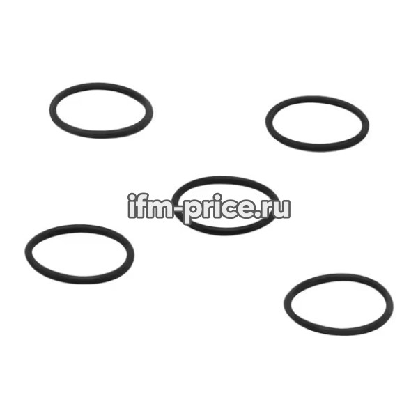 Уплотнительное кольцо, O-RG 24,00x2,00/EPDM, 5 шт.