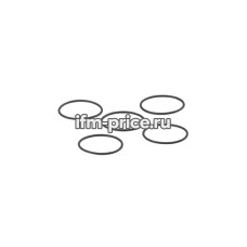 Уплотнительное кольцо, O-RG 16,40x1,00/EPDM, 5 шт.