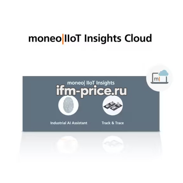 Облачная дополнительная подписка на moneo IIoT Core, moneo IIoT Insights Cloud