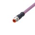 Все комплекты мужских шнуров, ASTGH050MSD0002C05