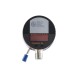 Электронный датчик уровня, LK0472B-B-00KLPKG/US